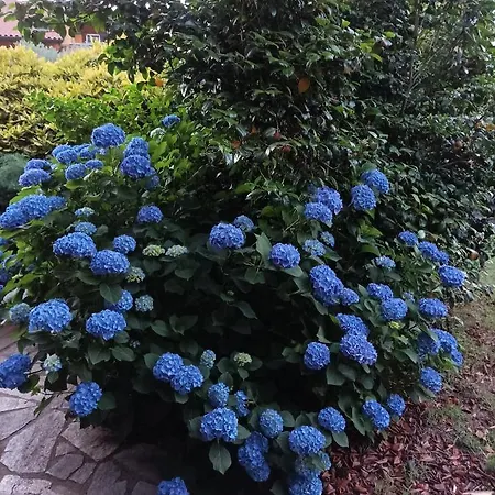 Nocleg ze śniadaniem 'l Sass Borgomanero