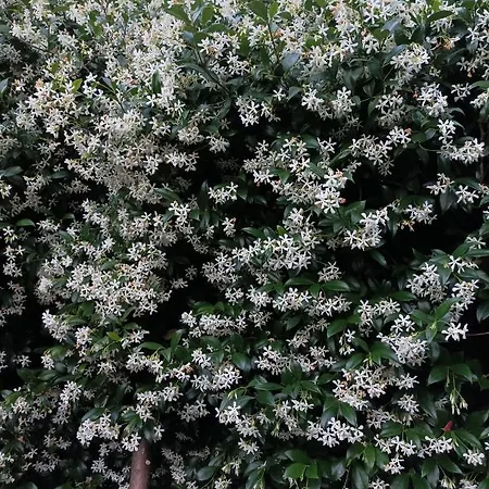 'l Sass Nocleg ze śniadaniem Borgomanero